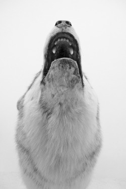 xxx tumblr