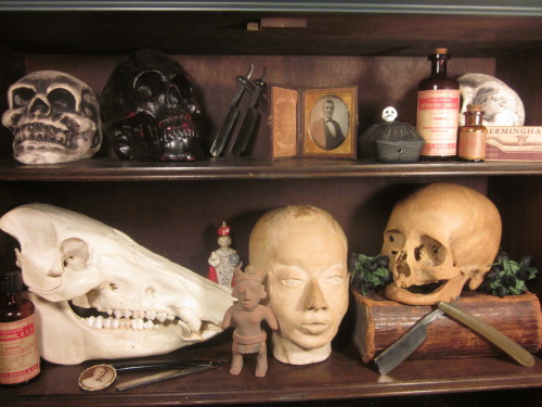 My Wunderkammer, very much still in progress