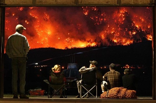 Porn photo Grounded helicopter pilots watch as a forest