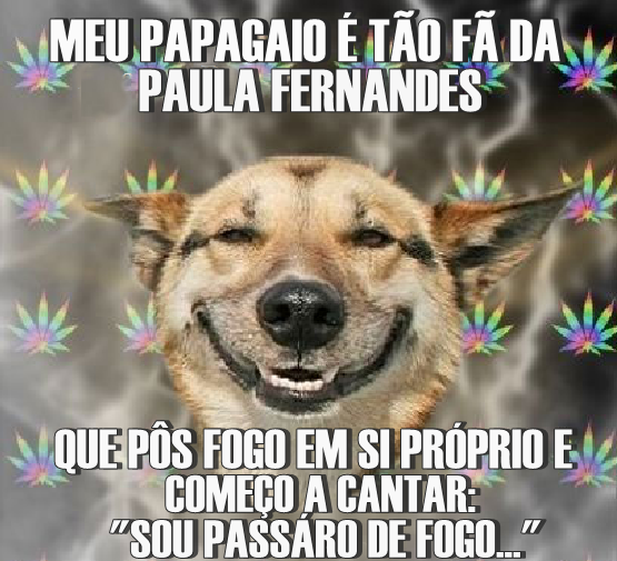 Apenas Seja Feliz !
