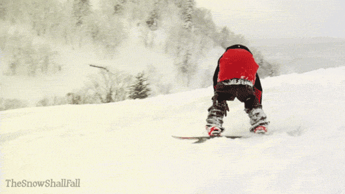 snowshallfall:  Halldór Helgason 3 