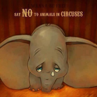 awh :’/