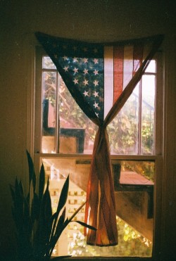 palemauve:  Americana