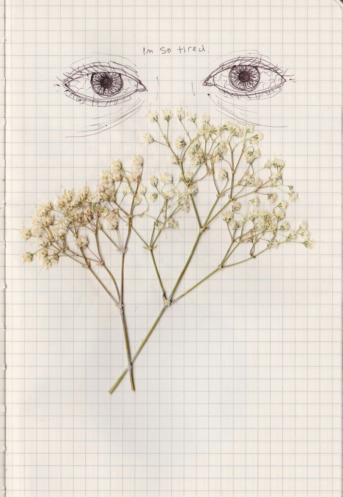 zamfirova:  (by Gabi Montes) 