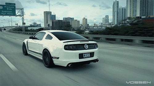 Ford Mustangs