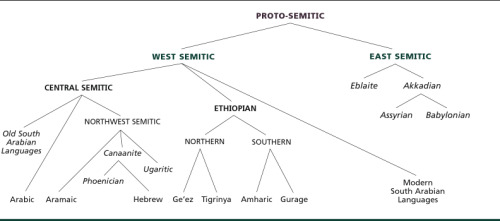 Semitic Language Tree [I had no idea there were Semitic languages in Ethiopia…]