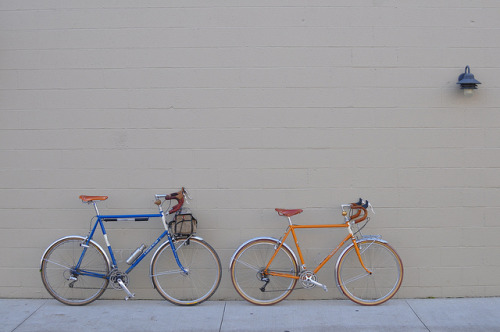 pedicabconfession: Rivendell A. Homer Hilsen + Rivendell Saluki by AmiSingh on Flickr.