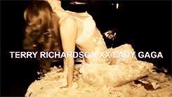 donatellahoe-blog:  Lady Gaga bitch ass trick. 