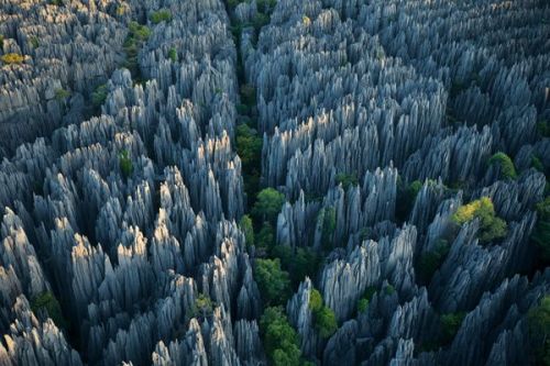 Limestone Towers, Madagascar Photograph by Stephen Alvarez, National Geographic A city of limestone 