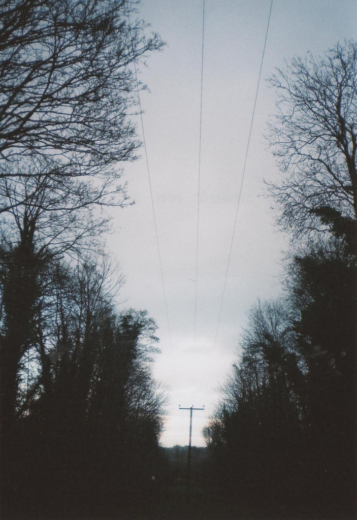 beaucoop:  (by Christian Swan) 