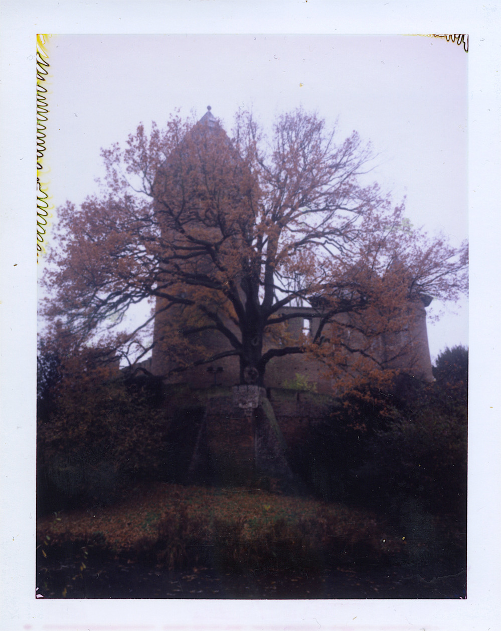 Autumn
Burg Linn, Krefeld.
Camera: Polaroid 600SE, Film: Fuji Fp 100C