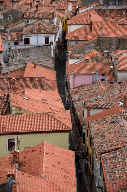 travelingcolors:Koper from above | Slovenia (by Gus The Mouse)