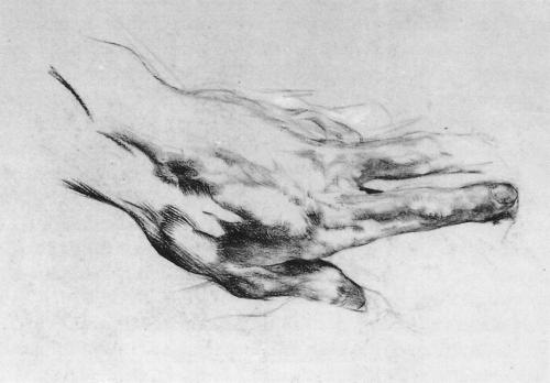 drawingdetail: Mikhail Vrubel, The Artist’s Left Hand, 1882-83. Black chalk and charcoal on pa