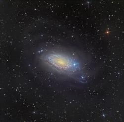 afro-dominicano:  Messier 63: The Sunflower