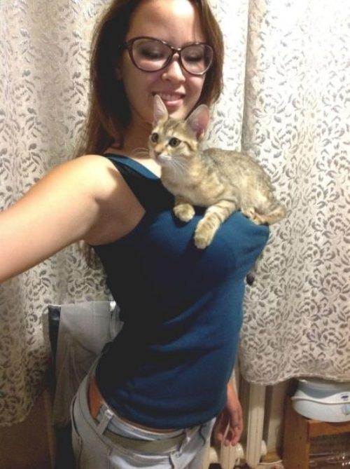 yourfavboobsite:  YourFavBoobSite.com  Oh to be that kitty