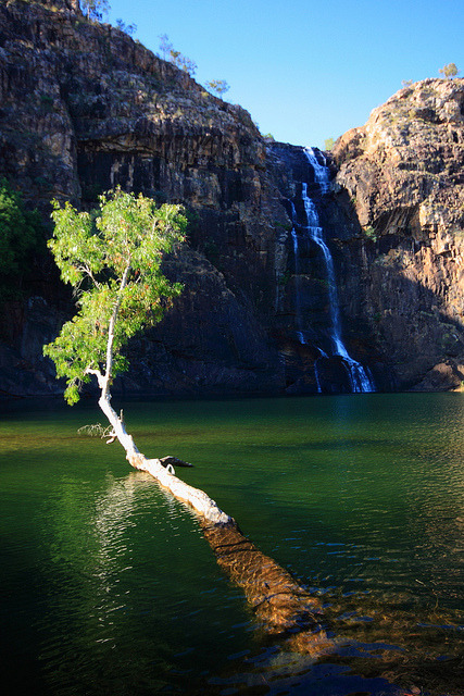 Gunlom Falls in Kakadu National Park, Australia (by gsamie).