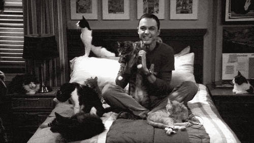 legendofsmoshbitches:  Zazzy. O how I love Sheldon.