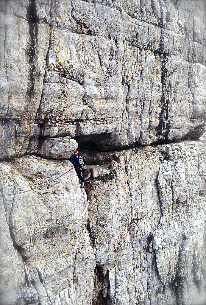 10  cervid: Escalant a Dolomites 1 (by Xevi V)