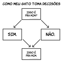 humoremgrafico:  Eu posso dormir aqui? Sim!