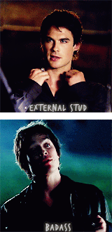 DAMON SALVATORE APPRECIATION WEEK Day One - Why you love Damon         