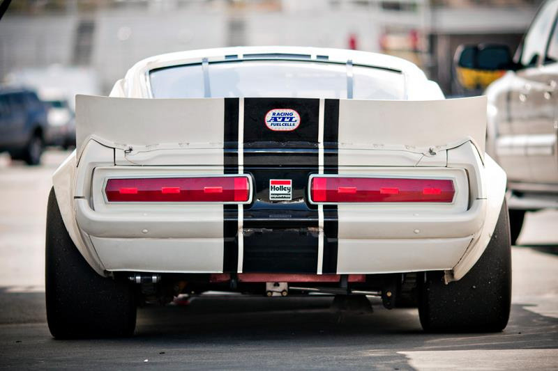 Ford Mustangs
