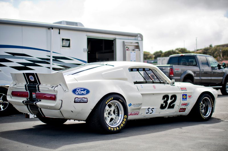 Ford Mustangs