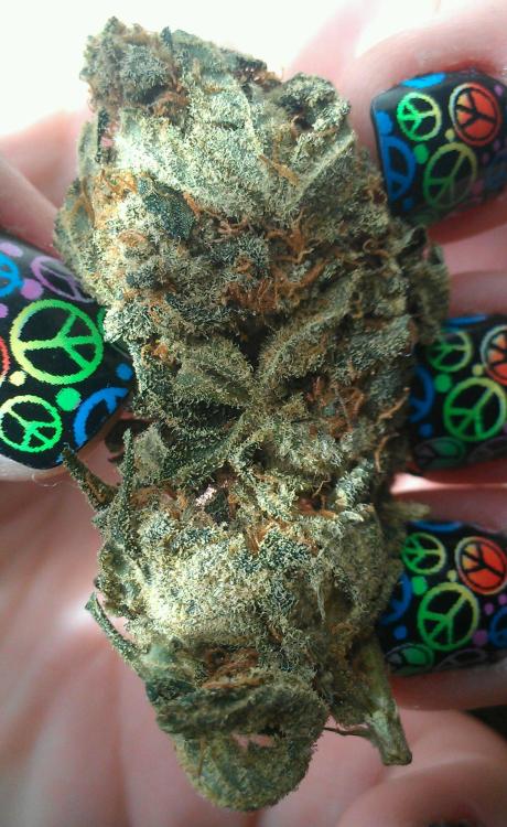 ashinkusher420:  there are few things in this world that make me happier than a nice, dank nugget. 