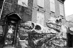 Joelzimmer:  Roa Nikon F3 | Tri-X 400 East Williamsburg, Brooklyn 