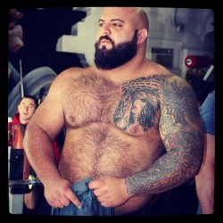 josebearpr:  brutesndaddies:  No roids. No