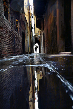 abeird:  showslow:  Christophe Jacrot, Winter in Town (New York City).   These are rather lovely