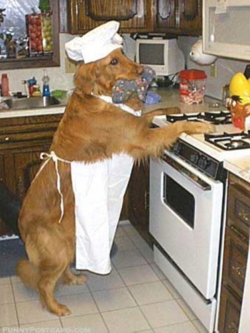 mediaplay:  honey dinner is almost ready