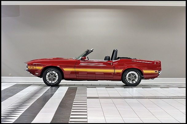 Ford Mustangs