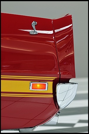 Ford Mustangs