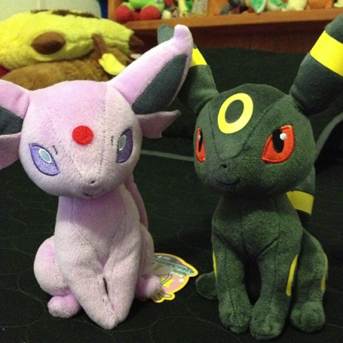 acetraineraudrey:shinyserperior:They finally arrived! My Espeon and Umbreon plushies!Oh nice you got
