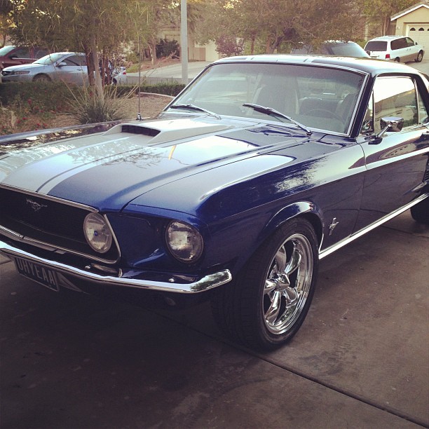 hangs-em-high:  Ain’t she beautiful ? #mustang #soclean