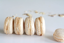 foodiepalooza:  Almond Macarons with Almond Buttercream