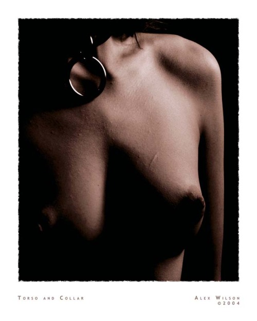 pornandfishnets:  Torso and Collar by ~AlexWilson 