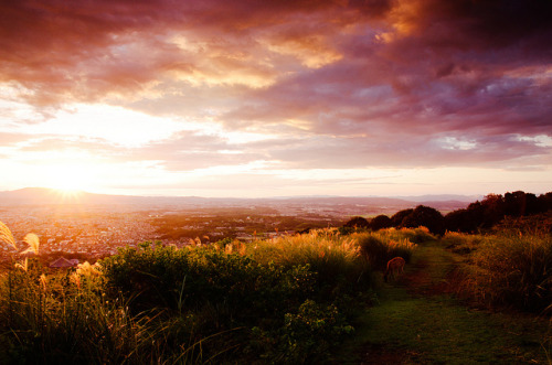aruariannights:  いにしえからの by yukio.s on Flickr. 