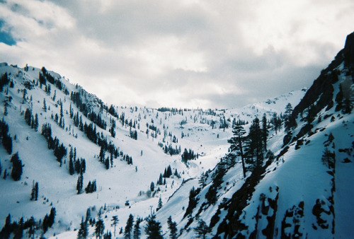 namasteh:  Winter Snow by Olivia.B. on Flickr. 