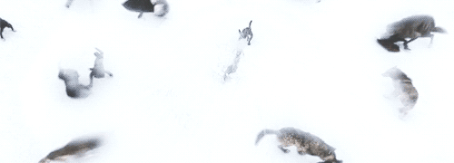 ryannxp:  ok my heart was racing while I made this—the same way it was racing when