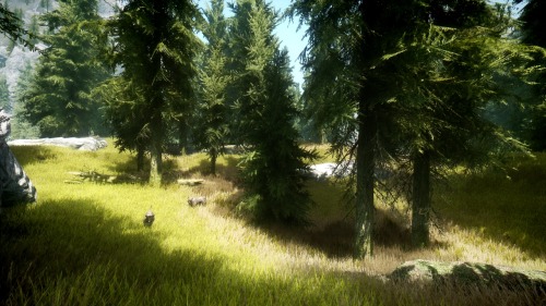 Sex  What Skyrim Looks Like When You’re Running pictures