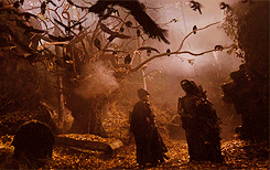  300 FAVORITE MOVIES (in no particular order)  149. The Brothers Grimm (2005)