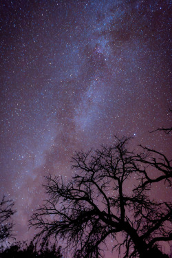 llbwwb:  Milky Way @ Canyon de Chelly National Monument (by vtgohokies) 