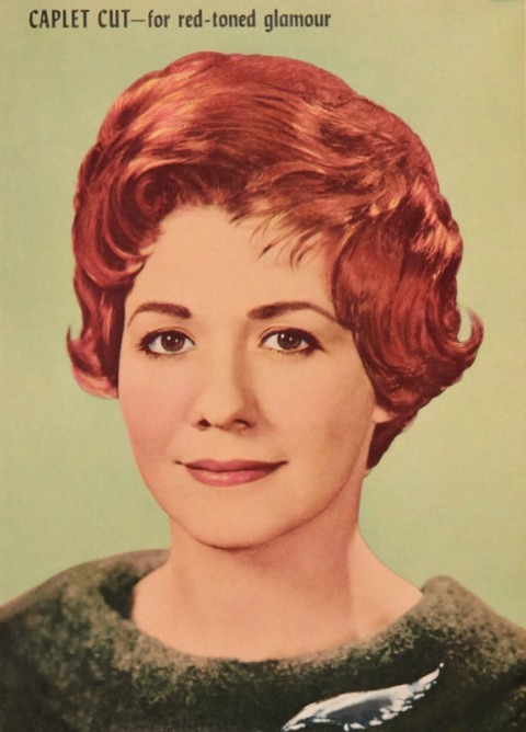 Salon Styles from 1960