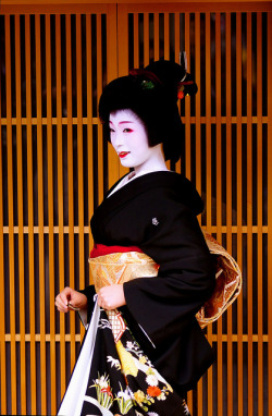 geisha-licious:  Fukue became a geiko today!