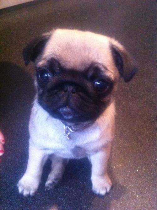 rachskywalker:  omg 