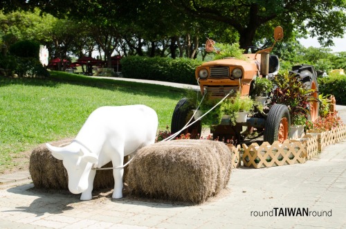 Flying Cow Ranch There is no such a cow able to fly in the ranch, but Flying Cow Ranch (飛牛牧場) is nam