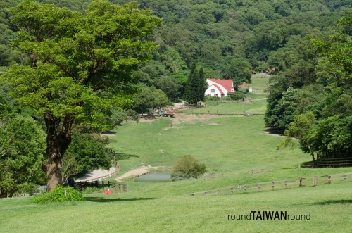 Flying Cow Ranch There is no such a cow able to fly in the ranch, but Flying Cow Ranch (飛牛牧場) is nam