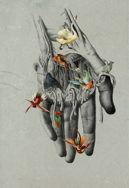 myampgoesto11: Digital collage by Michele Parliament