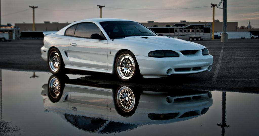 Ford Mustangs